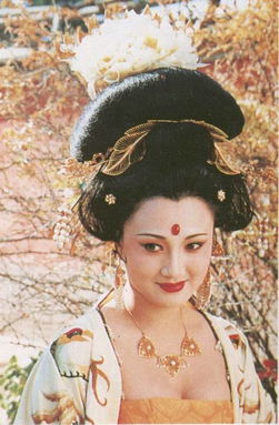 林芳兵演的杨贵妃是什么电视剧,林芳兵扮演的杨贵妃