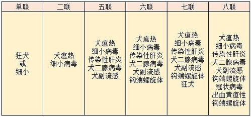 泰迪狗狗一岁了,第一针疫苗是去年打的,今年几月份打合适 