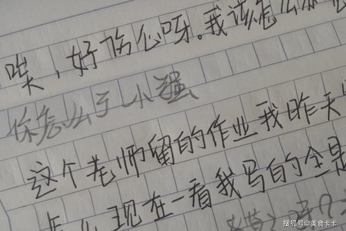 小学生搞笑小纸条 我认真写的 ,网友 脑子是好东西,希望你有