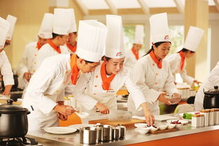 学校厨师求职,学校厨师求职:市场需求及职业优势