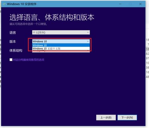 win10如何把两块硬盘做radi