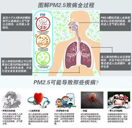 pm2.5是怎么进入室内!pm2.5是什么意思？