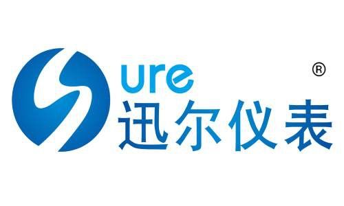 天津市迅尔仪表科技有限公司的生产技术怎么样，在国内处于什么水平?