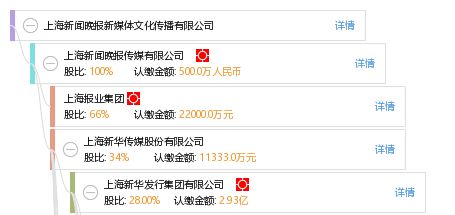 上海新媒体文化传媒有限公司,上海新文化传媒集团股份有限公司的集团概况