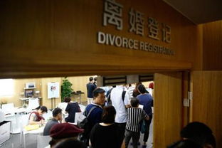 办理离婚证需要注意哪些问题