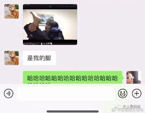 我小姨的鼻子是做的才这么好看 哈哈哈哈哈哈这天杀的小屁孩啊