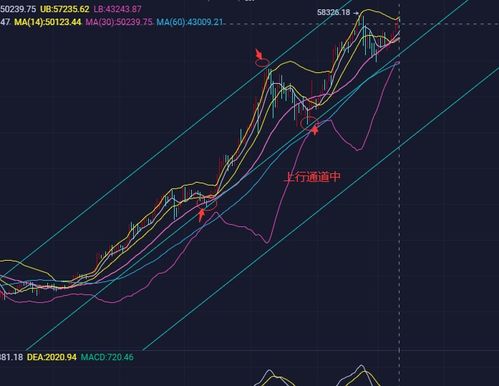 比特币没有k线,比特儿有没有跟火币网一样的k线图