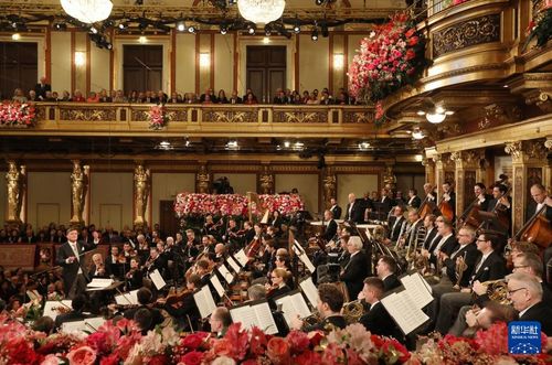 元旦维也纳音乐会,每年维也纳新年音乐会的必演曲目是哪两首?请分别写出它们的曲名和作者。