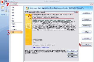 microsoft office 2003 密钥下载