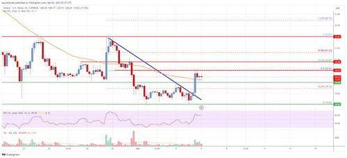 sol币最新价格行情美元,市场概况