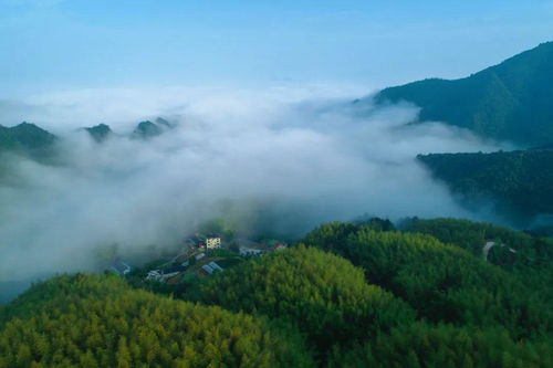 电影云雾山中是一部展现中国西部壮美风景和人文情感的经典影片