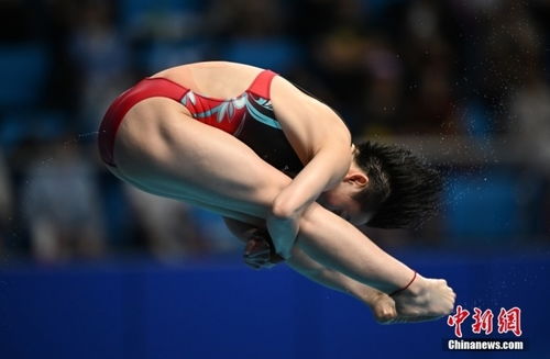 杭州亚运会跳水男子金牌榜,杭州亚运会选手