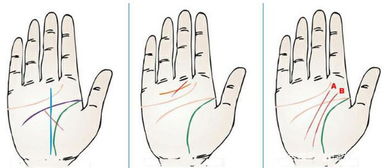 红颜薄命的人手相有哪些特点 