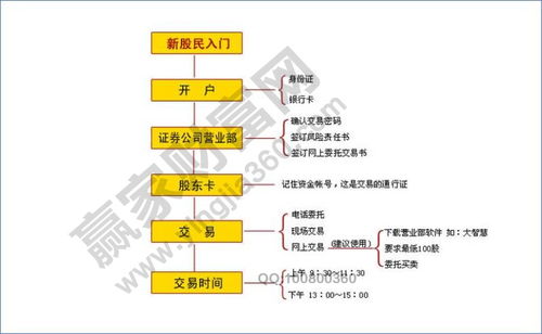 股票交易基本流程 股票交易基本流程 快讯