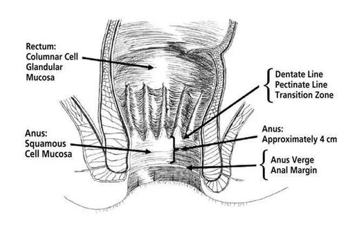 pre op guidelines for surgery,Pre-op Guidelines for Surgery: A Comprehensive Guide