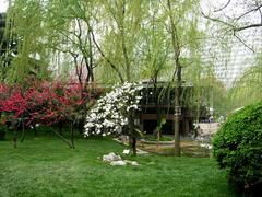 上海静安公园,探秘上海静安公园