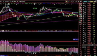 000630下周走势