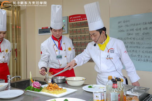 沛县厨师学校：烹饪之魂，美食之源