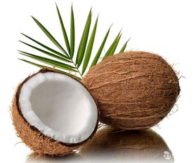 椰子的品种,椰子里面的肉像冰粉一样
