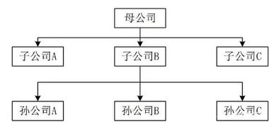 在母公司的基础上注册子公司的流程