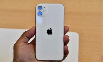 没有最好只有更好 iPhone11斩周销量榜首,买不起的举手