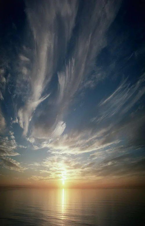 日 霞,美丽天空 