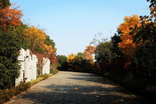 临平公园杜鹃园免费停车时间(临平万宝城停车场免费吗)