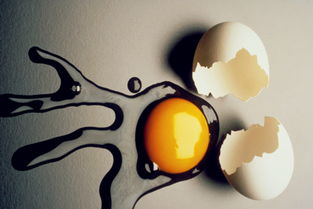 减肥到底能不能吃蛋黄