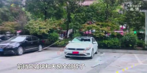 湖南 31楼掉下窗户砸中汽车,车主要求赔偿折损费,物业不理不睬