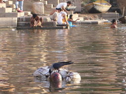 印度圣河 活人与浮尸共沐浴 