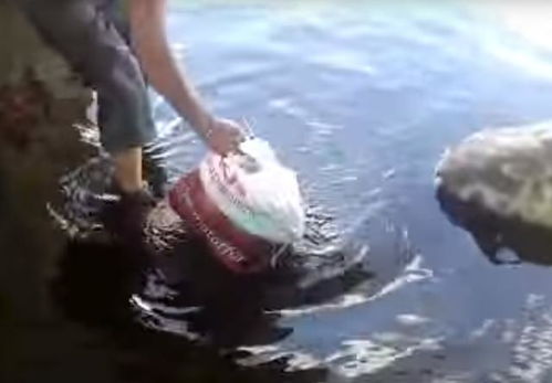 男子河边钓鱼捡到一塑料袋,打开发现竟装令人惊讶