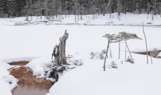 元马九皋关于雪的诗句