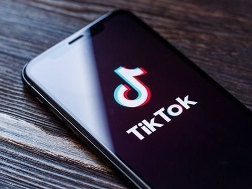 iphone如何下载tiktok_TikTok 商业 账号