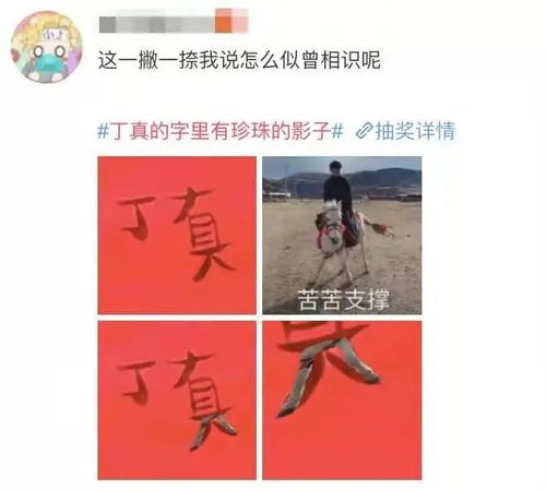 关于丁真,全国各地,不讲武德