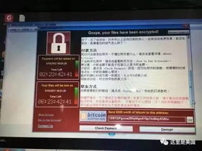 电脑被黑比特币学校,一年前就有大学生＂中招＂勒索病毒？