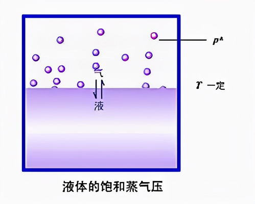 为什么水在100度的饱和蒸汽压正好是大气压