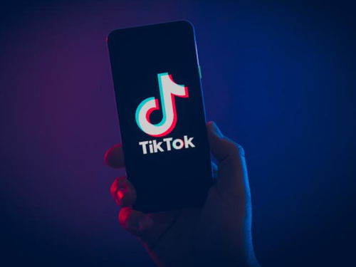 tiktok登录不了_为什么要投TikTok