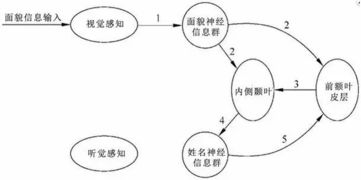 即时游戏中用户信息融合的研究