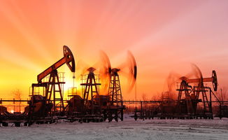 石油期货：能源市场的黑色黄金与未来趋势