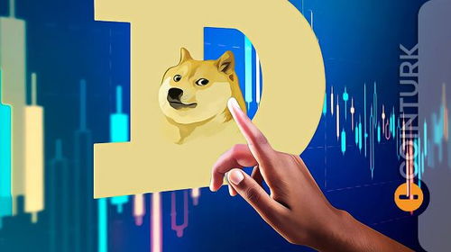 dogecoin价格今日行情,Dogecoi今天的价格变动情况