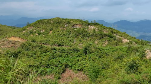 山河风水寻地 飞凤饮水 结窝穴,娥媚近案锁千山,一起来看看 