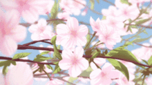 日本赏樱最强攻略 美到不行的46个樱花名县