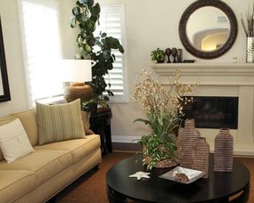 客厅最适合的盆栽植物风水好,客厅都能放什么植物