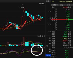 请问高手600220江苏阳光连续四天跌停，后市如何？