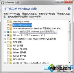 ie8win10设置在哪里