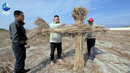 草船真能借箭吗 司马光真的砸得动缸 这部纪录片用科学原理 求证 典故