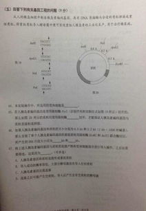 上海静安区软考高级考试时间全面解析，让您轻松掌握考试动向！