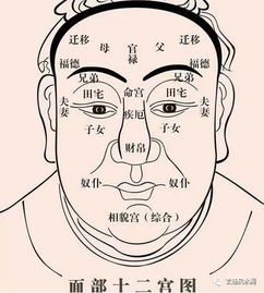 姜群 相学经典 公笃相法 ,白话详论面相 十二宫