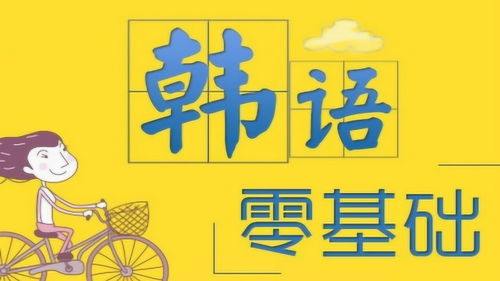 韩语学习教程韩语学习入门韩语基础学习超详细韩语学习韩语教程 