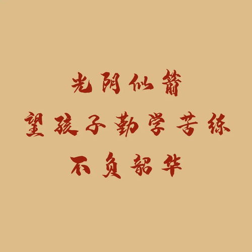 定了 8月5日 6日上午9 30起可查中考成绩 